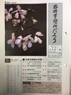 【岩井事務所だより】３月号「平成２９年度税制改正（案）のポイント」
