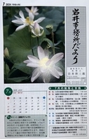 【岩井事務所だより】７月号「令和６年度税制改正　賃上げ促進税制の見直し」